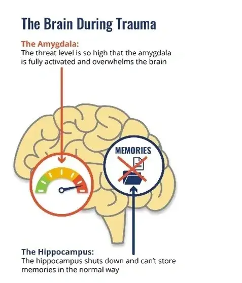 How to cope with post-traumatic stress while travelling The Travel Psychologist