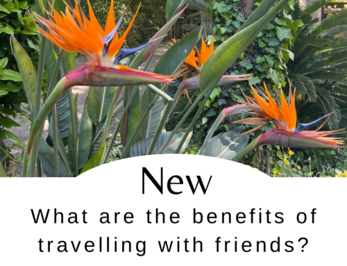 What are the benefits of travelling with friends?