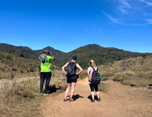 Planning a trip with friends: Psychology-backed tips