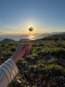 Sunset view after ziplining