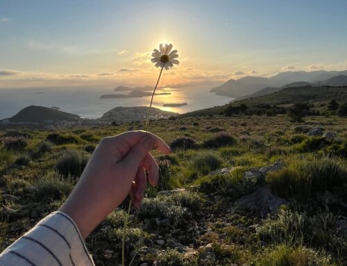 Mindful travel: Exploring the world without leaving yourself behind