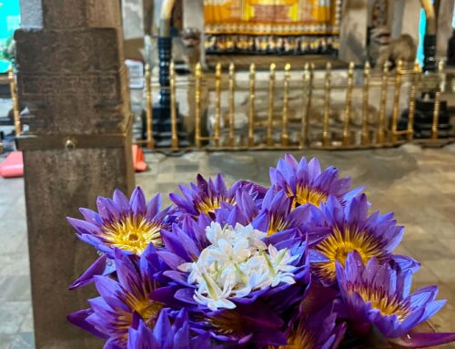 Gratitude rituals: A path to resilience and well-being