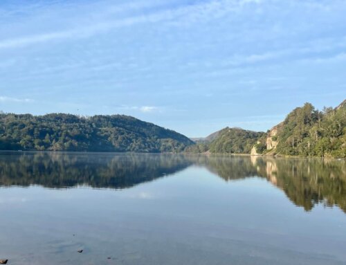 The psychological benefits of staycations