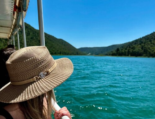 What is travel psychology?